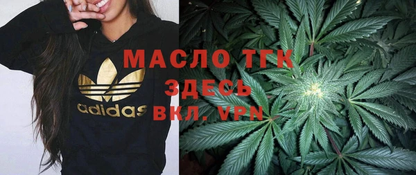 сатива Медногорск