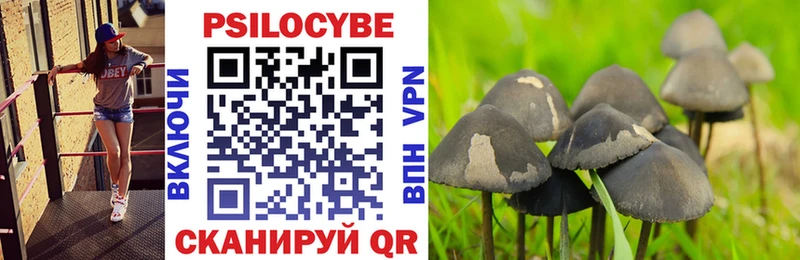 Псилоцибиновые грибы прущие грибы  Купить  Минусинск 